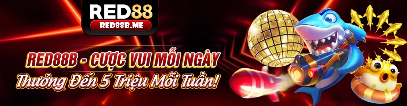 Hình ảnh giới thiệu 8s link vào, nền tảng giải trí trực tuyến hàng đầu